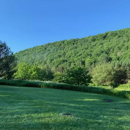 The Maples Apt - King Bed, Pet Friendly, Beautiful Views Ellicottville Exterior photo