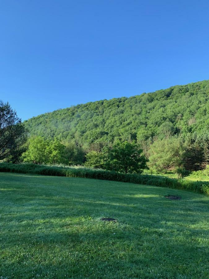 The Maples - King Bed, Pet Friendly, Beautiful Views Ellicottville